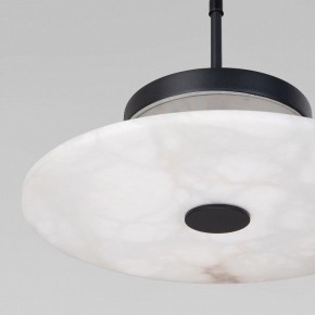 Подвесной светильник Eurosvet Thasos 40342 LED черный в Салехарде - salekhard.ok-mebel.com | фото 8