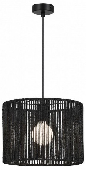 Подвесной светильник EVOLUCE ETTAN SLE6024-403-01 в Салехарде - salekhard.ok-mebel.com | фото 2