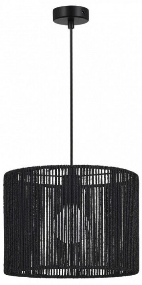 Подвесной светильник EVOLUCE ETTAN SLE6024-403-01 в Салехарде - salekhard.ok-mebel.com | фото 4