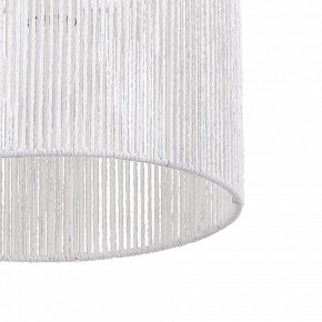 Подвесной светильник EVOLUCE ETTAN SLE6024-503-01 в Салехарде - salekhard.ok-mebel.com | фото 8