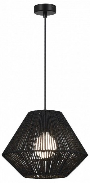 Подвесной светильник EVOLUCE ETTAN SLE6025-403-01 в Салехарде - salekhard.ok-mebel.com | фото 2