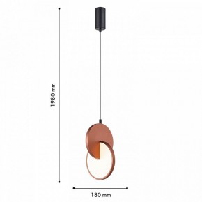 Подвесной светильник F-promo Grahan 4607-1P в Салехарде - salekhard.ok-mebel.com | фото 5