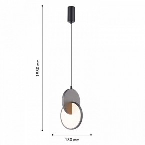 Подвесной светильник F-promo Grahan 4609-1P в Салехарде - salekhard.ok-mebel.com | фото 4