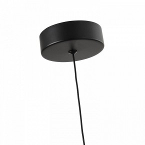 Подвесной светильник Favourite Cattivo 4452-1P в Салехарде - salekhard.ok-mebel.com | фото 7