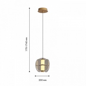 Подвесной светильник Favourite Fada 4625-1P в Салехарде - salekhard.ok-mebel.com | фото 5