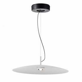 Подвесной светильник Favourite Lars 4410-2P в Салехарде - salekhard.ok-mebel.com | фото 2