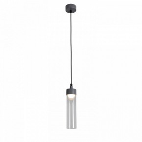 Подвесной светильник Favourite Outdoor 4703-1P в Салехарде - salekhard.ok-mebel.com | фото 3