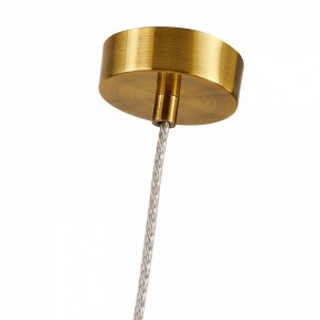 Подвесной светильник Favourite Stalactit 4455-1P в Салехарде - salekhard.ok-mebel.com | фото 8