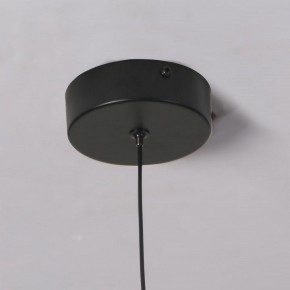 Подвесной светильник Favourite Wilet 4656-1P в Салехарде - salekhard.ok-mebel.com | фото 10