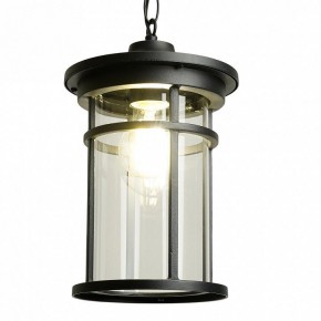 Подвесной светильник Feron PL765 51819 в Салехарде - salekhard.ok-mebel.com | фото 3