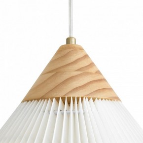 Подвесной светильник Freya Kinsley FR5533PL-01BS в Салехарде - salekhard.ok-mebel.com | фото 8