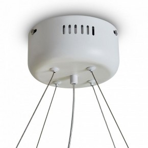Подвесной светильник Freya Rain FR5546PL-L60W в Салехарде - salekhard.ok-mebel.com | фото 9