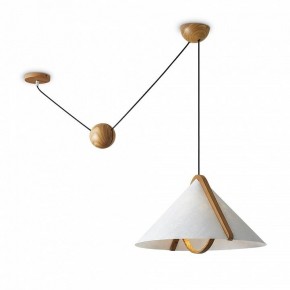 Подвесной светильник Freya Umbra FR5554CL-01T в Салехарде - salekhard.ok-mebel.com | фото 2