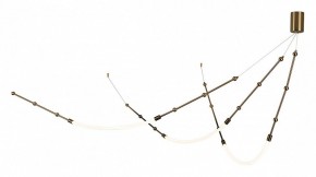 Подвесной светильник Indigo Corda 14010/3P Brass в Салехарде - salekhard.ok-mebel.com | фото 3