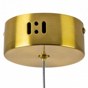 Подвесной светильник Lightstar Botto 800033 в Салехарде - salekhard.ok-mebel.com | фото 7