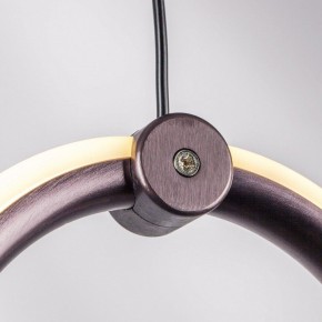 Подвесной светильник Lightstar Caramello 796229 в Салехарде - salekhard.ok-mebel.com | фото 10