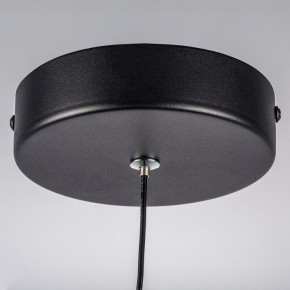 Подвесной светильник Lightstar Saturno 749017 в Салехарде - salekhard.ok-mebel.com | фото 12
