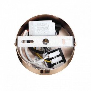 Подвесной светильник Lumion Cristie 8009/6L в Салехарде - salekhard.ok-mebel.com | фото 6