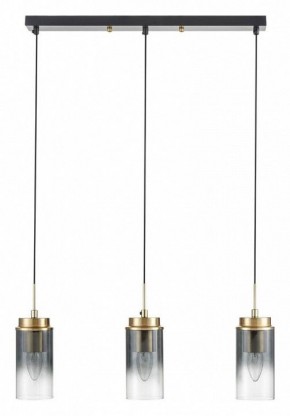 Подвесной светильник Lumion Isha 8101/3A в Салехарде - salekhard.ok-mebel.com | фото 6