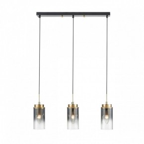 Подвесной светильник Lumion Isha 8101/3A в Салехарде - salekhard.ok-mebel.com | фото 7