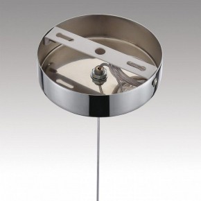 Подвесной светильник Lumion Solida 8088/1A в Салехарде - salekhard.ok-mebel.com | фото 6