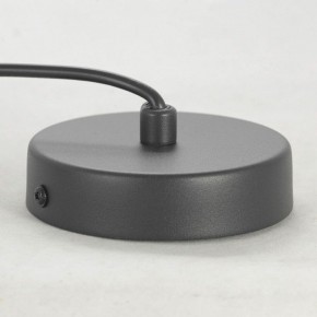 Подвесной светильник Lussole LSP-849 LSP-8490 в Салехарде - salekhard.ok-mebel.com | фото 6