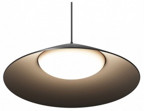 Подвесной светильник Maytoni Campana O-TR01-1-P-12WB3K в Салехарде - salekhard.ok-mebel.com | фото 2