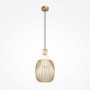 Подвесной светильник Maytoni Levitation MOD376PL-01G1 в Салехарде - salekhard.ok-mebel.com | фото 2