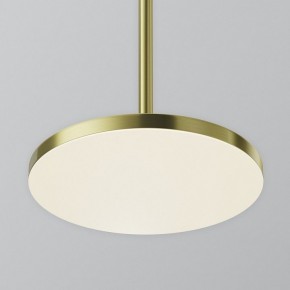 Подвесной светильник Maytoni Plato P076PL-L12W4K-BS в Салехарде - salekhard.ok-mebel.com | фото 7