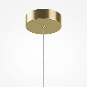 Подвесной светильник Maytoni Sirocco MOD359PL-L6BS3K1 в Салехарде - salekhard.ok-mebel.com | фото 7