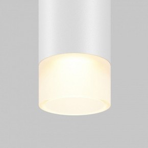 Подвесной светильник Maytoni Skim TR191-1-3W3K-M-BW в Салехарде - salekhard.ok-mebel.com | фото 2