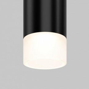 Подвесной светильник Maytoni Skim TR191-1-3W4K-M-B в Салехарде - salekhard.ok-mebel.com | фото 2
