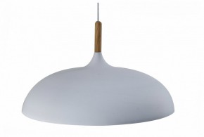 Подвесной светильник Moderli Hygo V11447-1P в Салехарде - salekhard.ok-mebel.com | фото
