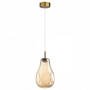 Подвесной светильник Odeon Light Nave 5098/4L в Салехарде - salekhard.ok-mebel.com | фото 4