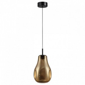 Подвесной светильник Odeon Light Nave 5098/4LA в Салехарде - salekhard.ok-mebel.com | фото 4
