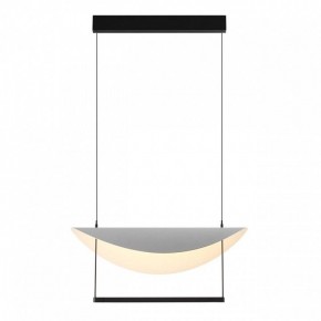 Подвесной светильник Odeon Light Next 7015/20L в Салехарде - salekhard.ok-mebel.com | фото 2