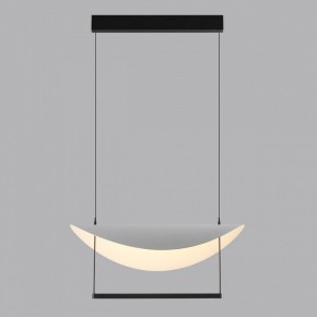 Подвесной светильник Odeon Light Next 7015/20L в Салехарде - salekhard.ok-mebel.com | фото 4