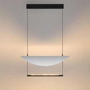 Подвесной светильник Odeon Light Next 7015/20L в Салехарде - salekhard.ok-mebel.com | фото 5