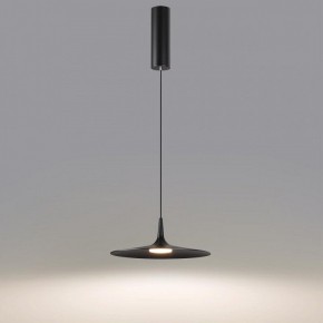 Подвесной светильник Odeon Light Sombra 7039/12L в Салехарде - salekhard.ok-mebel.com | фото 4