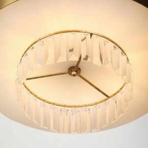 Подвесной светильник Rivoli Vickie Б0061902 в Салехарде - salekhard.ok-mebel.com | фото 11
