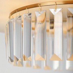 Подвесной светильник Rivoli Vickie Б0061902 в Салехарде - salekhard.ok-mebel.com | фото 13