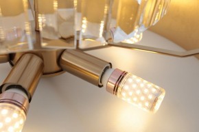 Подвесной светильник Rivoli Vickie Б0061902 в Салехарде - salekhard.ok-mebel.com | фото 7