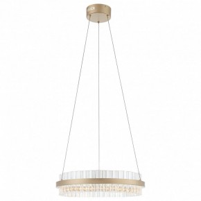 Подвесной светильник ST-Luce Cherio SL383.203.01 в Салехарде - salekhard.ok-mebel.com | фото 3