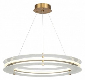 Подвесной светильник ST-Luce FAGY SL6245.203.01 в Салехарде - salekhard.ok-mebel.com | фото 2