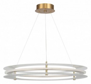 Подвесной светильник ST-Luce FAGY SL6245.203.01 в Салехарде - salekhard.ok-mebel.com | фото 3
