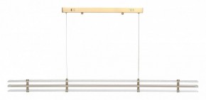 Подвесной светильник ST-Luce FAGY SL6245.223.01 в Салехарде - salekhard.ok-mebel.com | фото 3