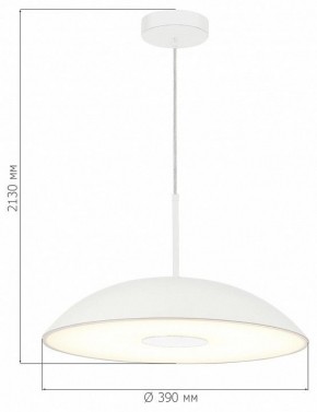Подвесной светильник ST-Luce Lido SL6128.503.01 в Салехарде - salekhard.ok-mebel.com | фото 4