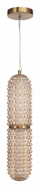 Подвесной светильник ST-Luce SAGUARO SL6144.303.01 в Салехарде - salekhard.ok-mebel.com | фото 3