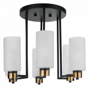 Потолочная люстра 33 идеи CHN900 CHN900.06.BL17.ASB-S16WH в Салехарде - salekhard.ok-mebel.com | фото 3