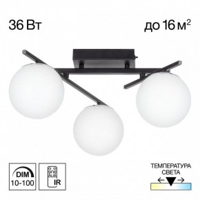 Потолочная люстра Citilux Dorsy CL223132 в Салехарде - salekhard.ok-mebel.com | фото 10